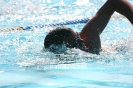 Triathlon 2011_46