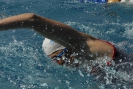 Triathlon 2015