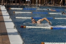 Triathlon 2015
