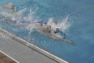 Triathlon 2015