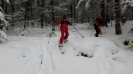 Schneeschuhwandern Hoher Bogen