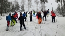 Schneeschuhwandern Hoher Bogen