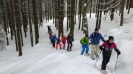 Schneeschuhwandern Hoher Bogen