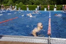 28. Regentaltriathlon