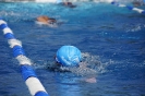 28. Regentaltriathlon