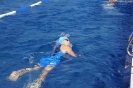Regentaltriathlon 2019