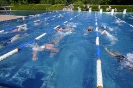 Regentaltriathlon 2019