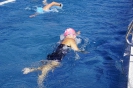 Regentaltriathlon 2019