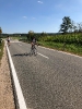 RR Vereinsmeisterschaft 2019