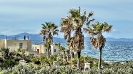 0104_Trainingslager_Mallorca_45