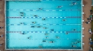 Triathlon 2024_381