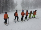 Wintersport - Ski-/Snowboardkurse_3