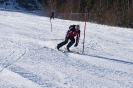 Skikurs 2011